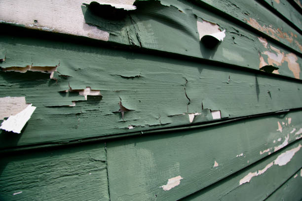 Demolition Debris Removal in Putnam Lake, NY